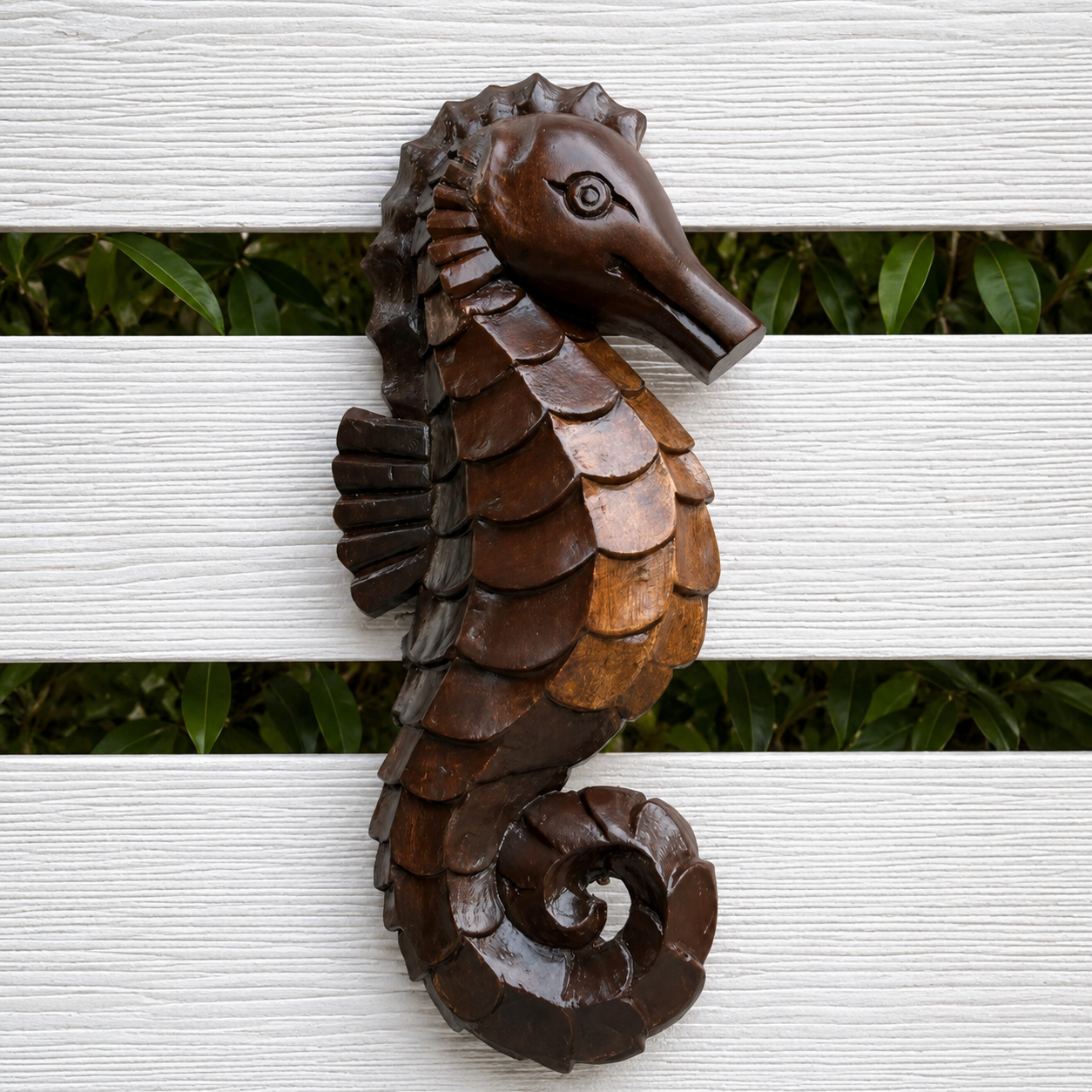 SEAHORSES