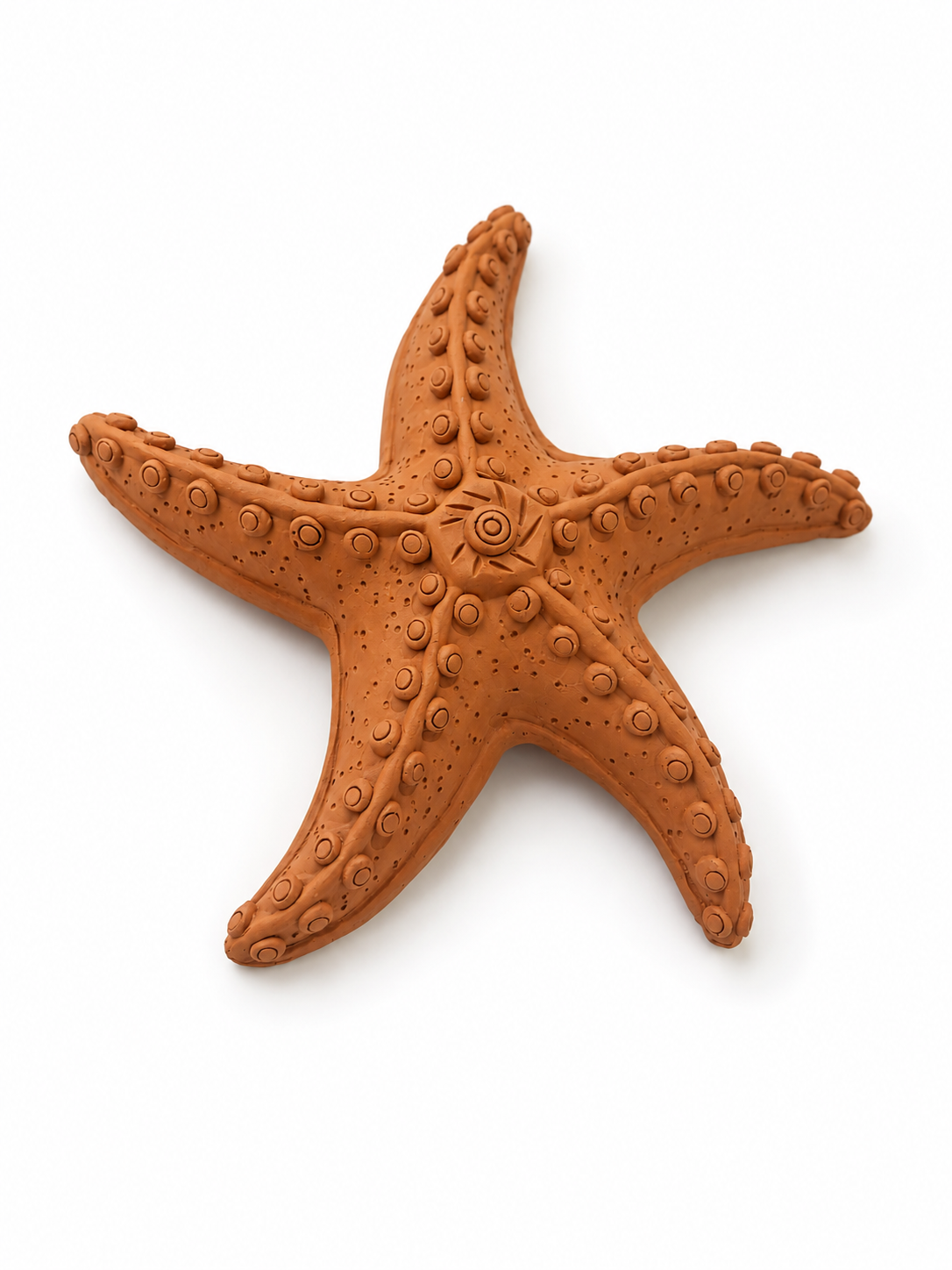 Terracotta Starfish