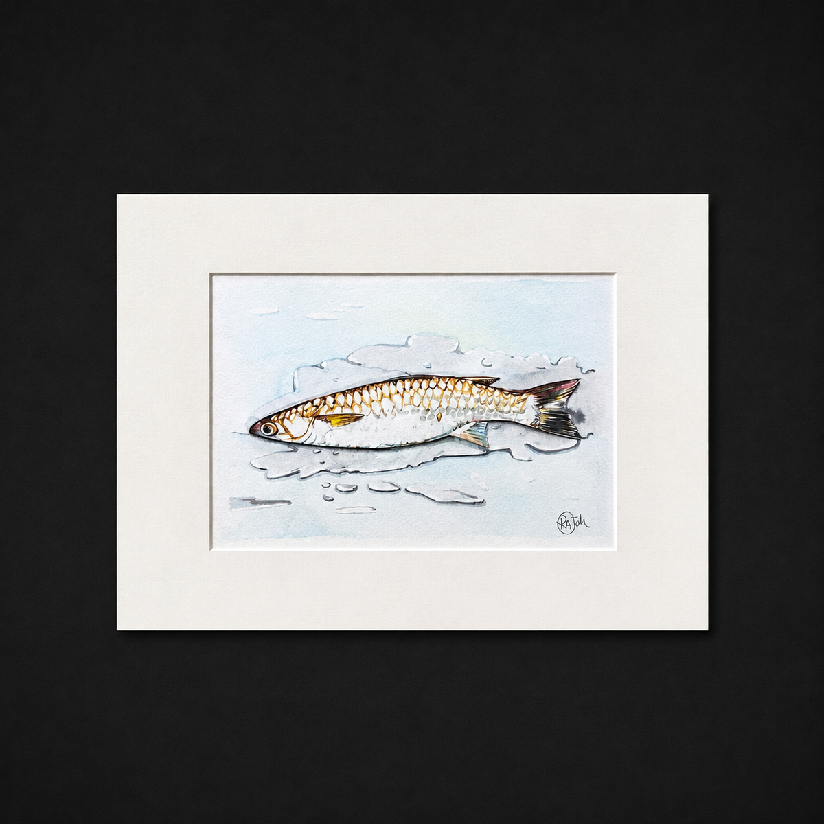 Fish of Goa – Hand Paintings