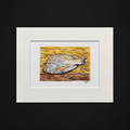 Fish of Goa – Hand Paintings