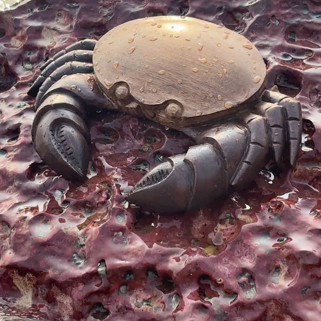 Crab
