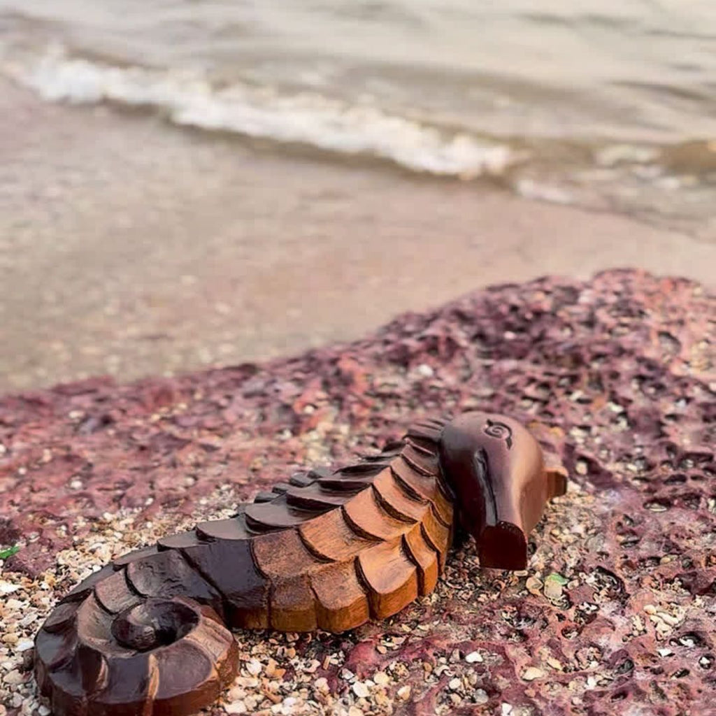SEAHORSES